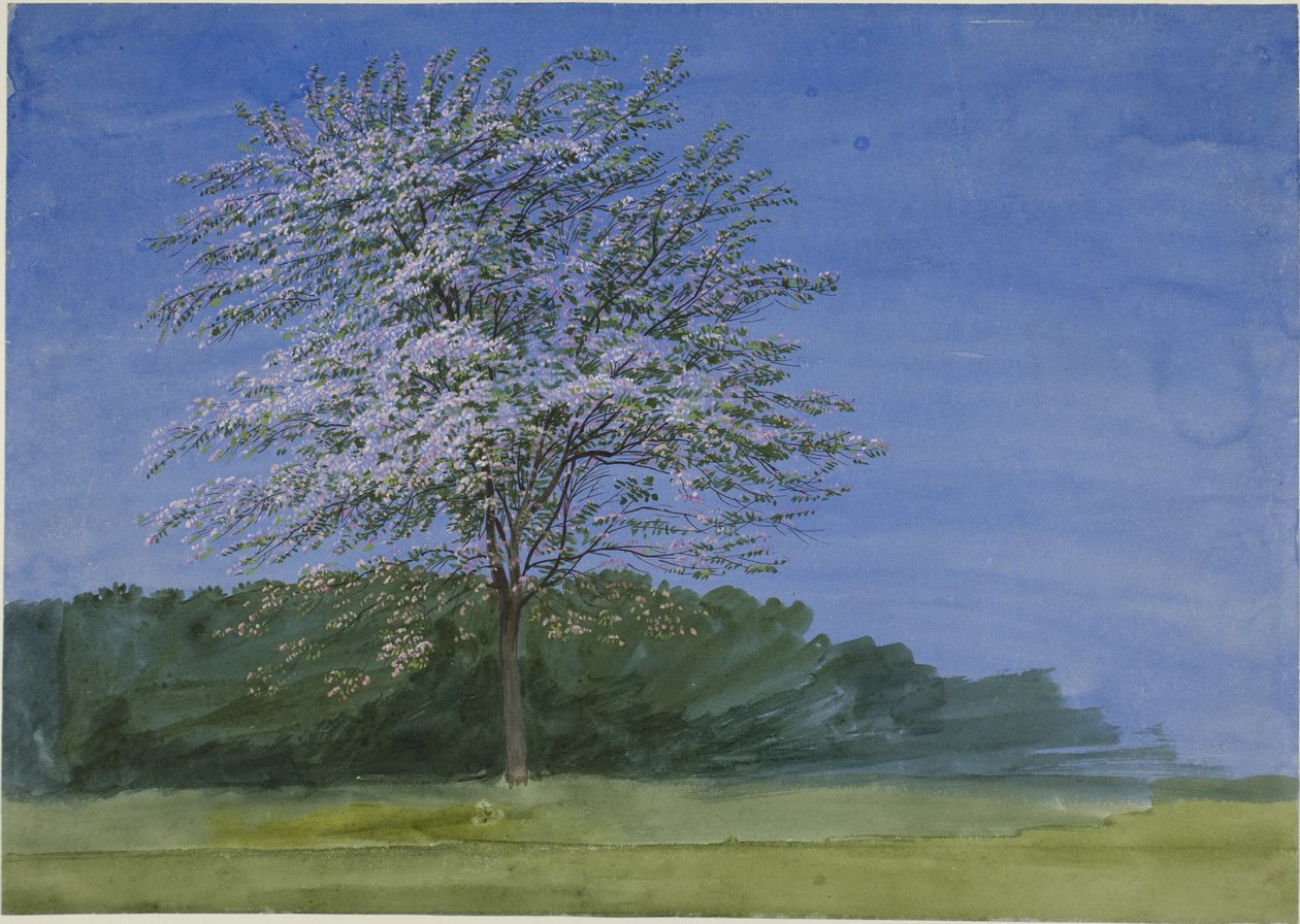 Estudo de uma árvore em flor de Joseph Mallord William Turner
