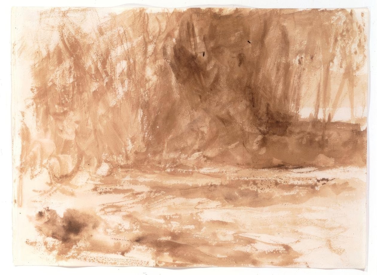 Estudo sobre o rio Washburn, Yorkshire de Joseph Mallord William Turner