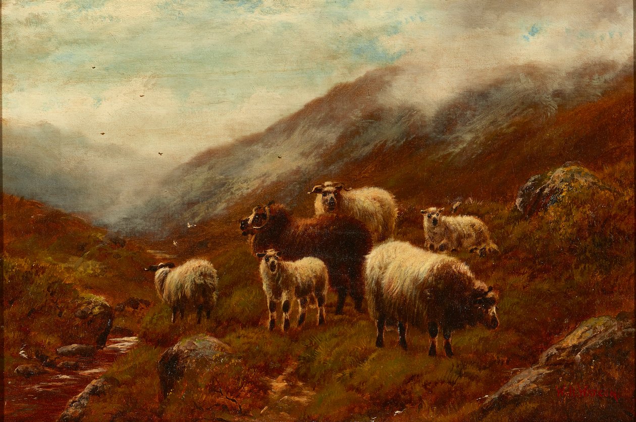 Ovelhas de montanha sobre uma colina (óleo sobre tela) de William Watson