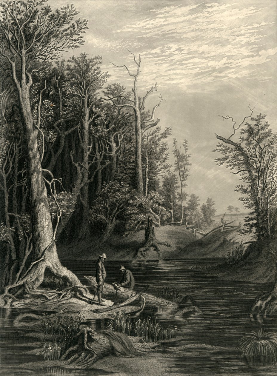 "The Chickahominy", 1872.   de William Wellstood