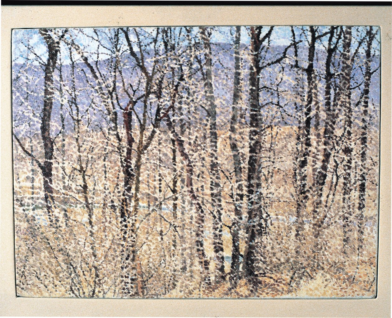 Kittatiny Mountains, Manhãs de William Wilkins