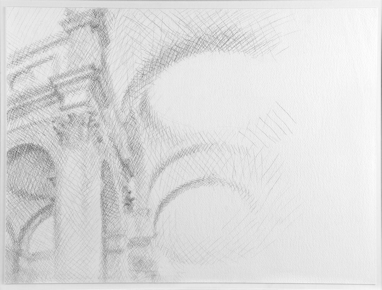 San Salvador, Veneza, 2007 (Lápis sobre papel) de William Wilkins