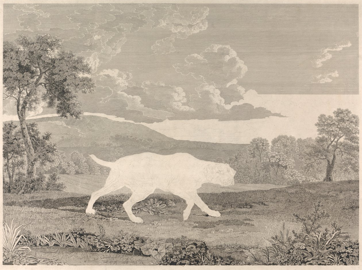 [O Ponteiro Espanhol de William Woollett