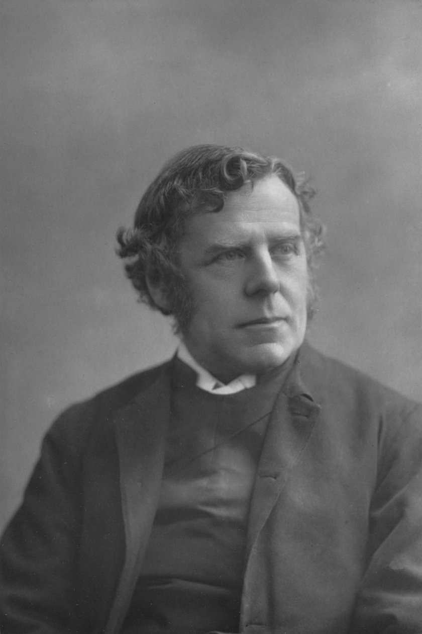 O Bispo de Ripon, c1891 de William and Daniel Downey