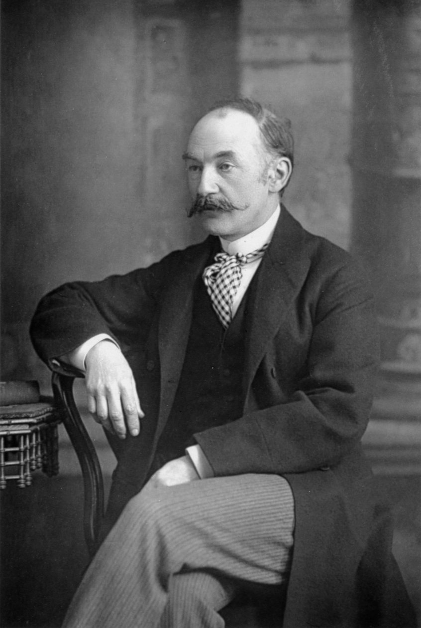 Thomas Hardy, escritor e poeta inglês, c1890 de William and Daniel Downey