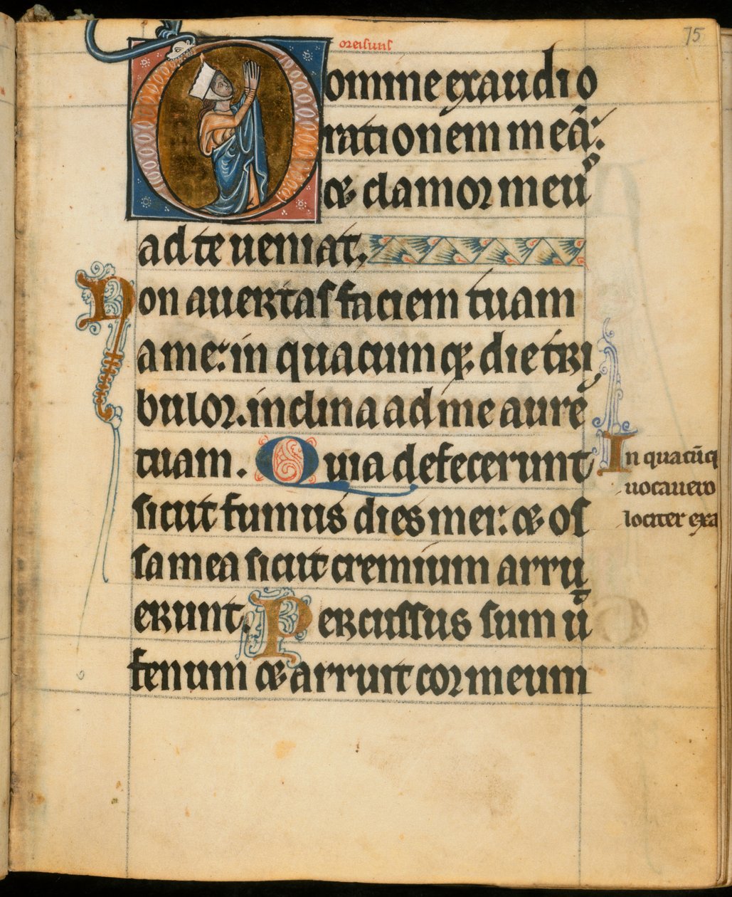 Acrescentar. 49999, f.75 