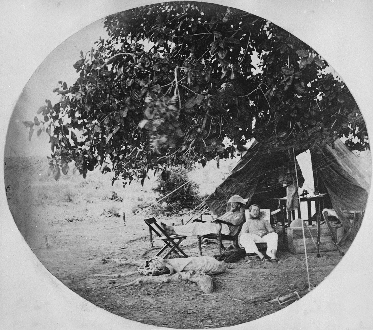 Um dia quente na Selva Indiana, c.1860 de Willoughby Wallace Hooper