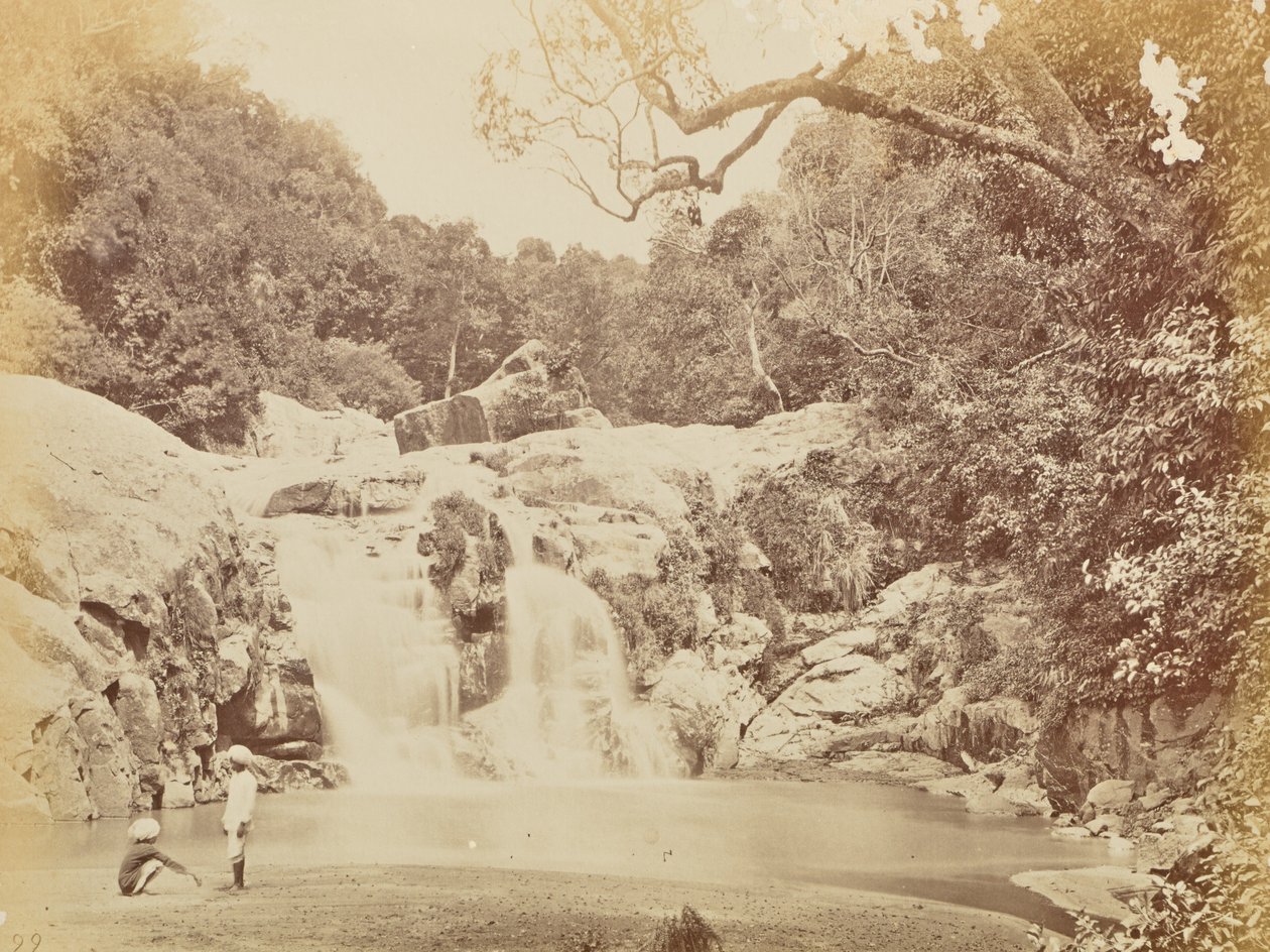 [Cascata] de Willoughby Wallace Hooper