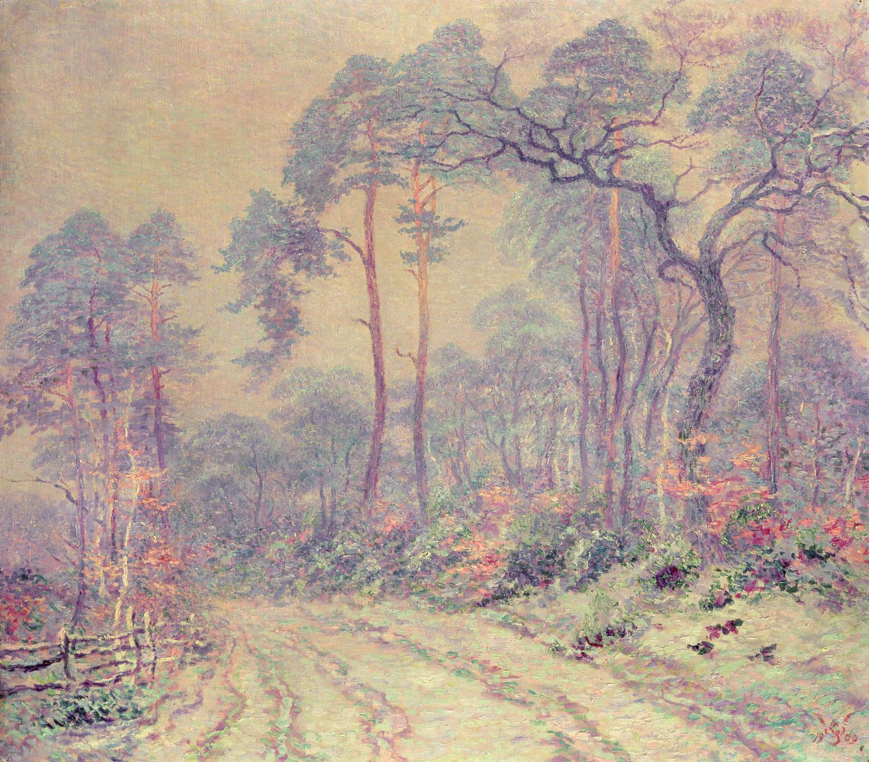 O Caminho através da Madeira de Willy Schlobach