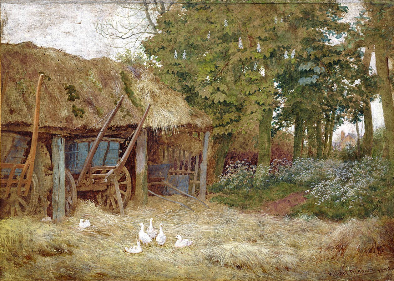 Patos, 1880 (wc com bodycolour no papel) de Wilmot Pilsbury