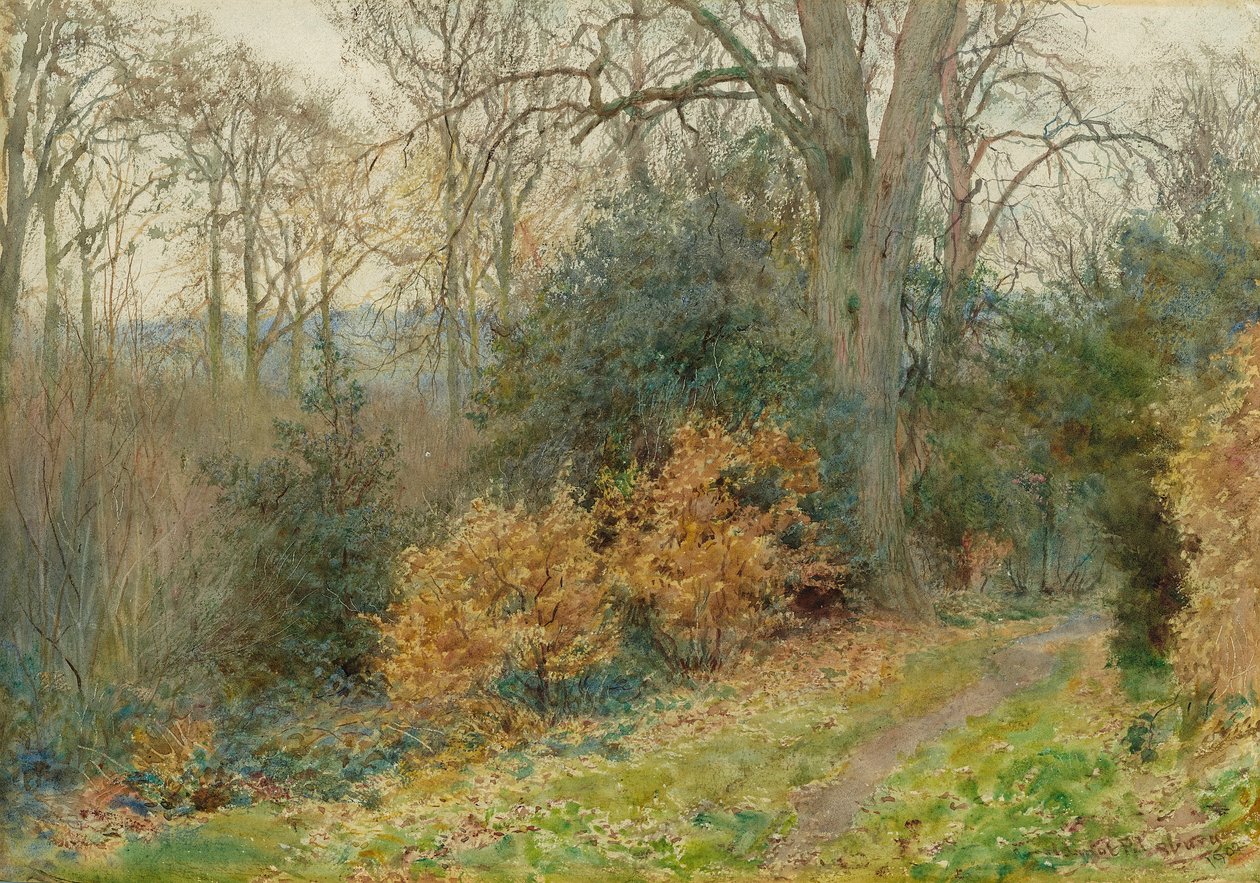 Caminho através da madeira, 1902 de Wilmot Pilsbury