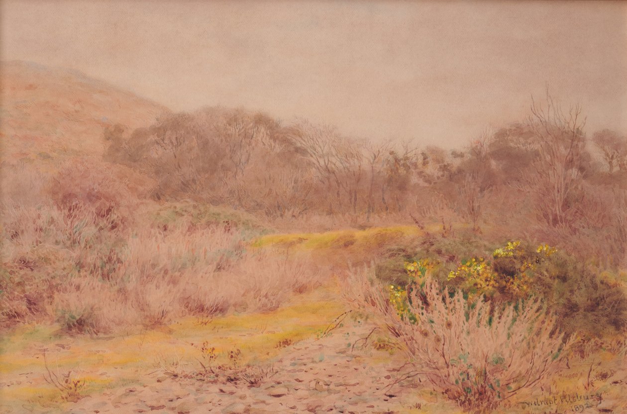 Um dia frio de Fevereiro cinzento de Wilmot R.W.S. Pilsbury