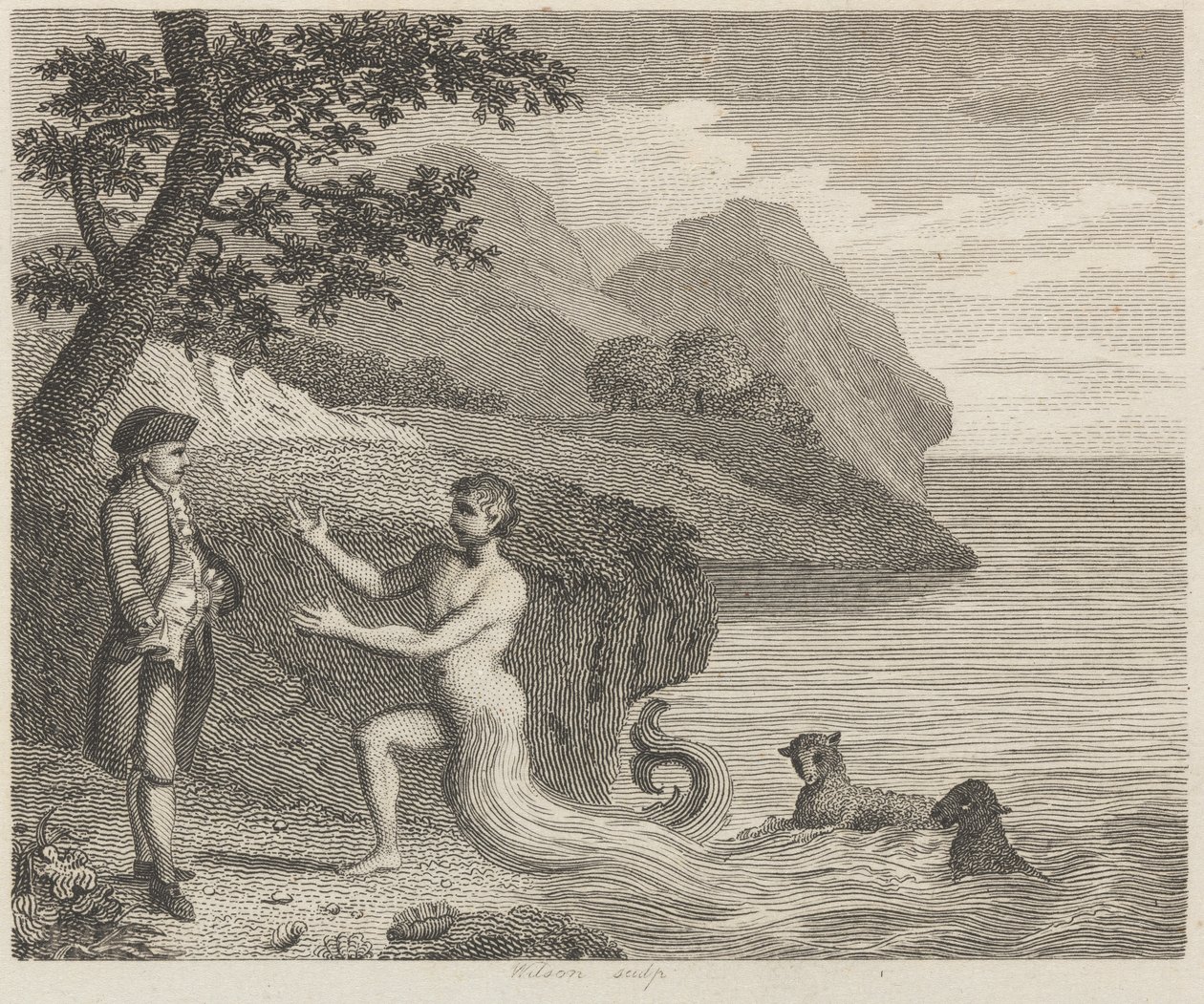 Courtier e Proteus de Wilson