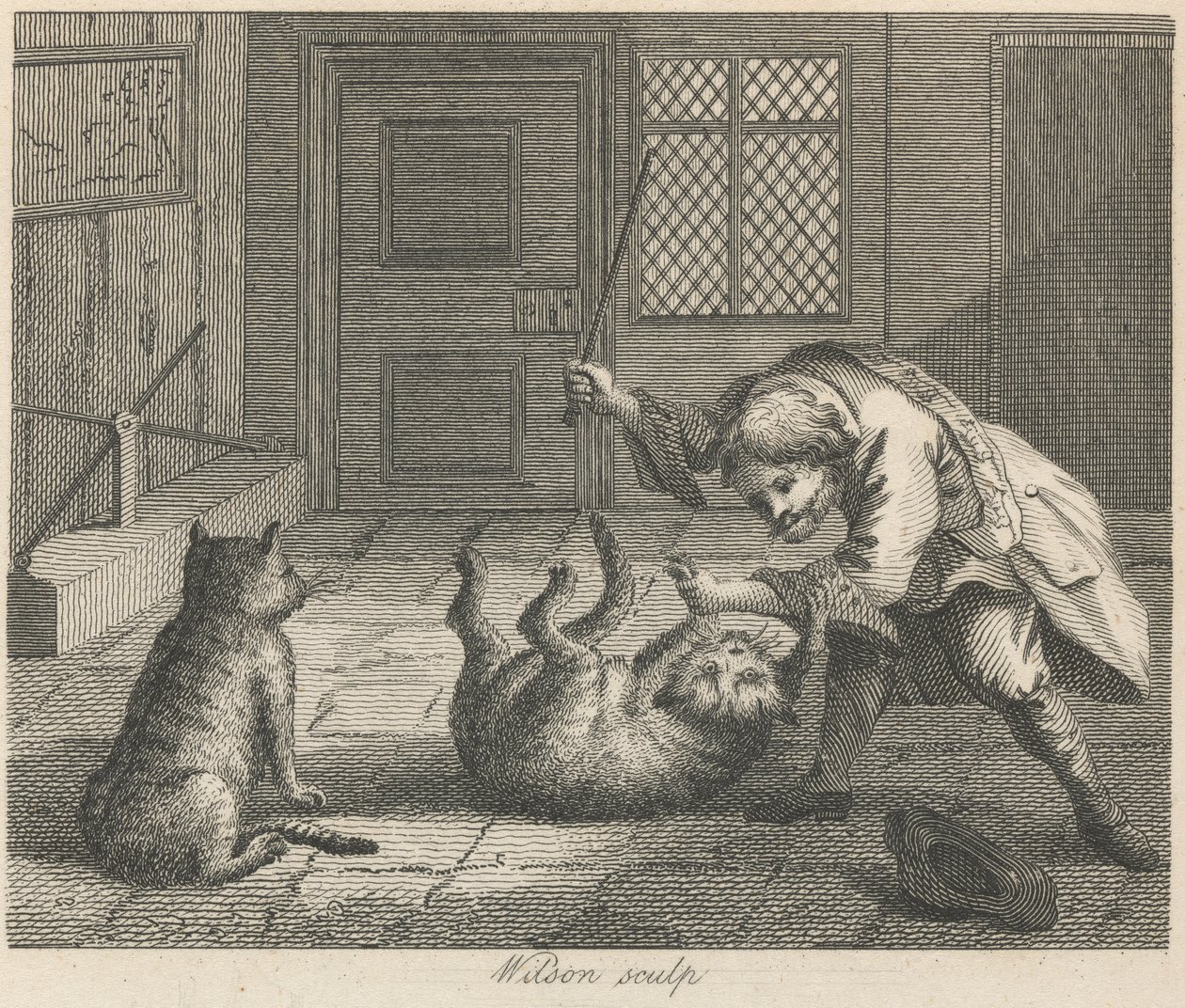O Apanhador de Ratos e Gatos de Wilson