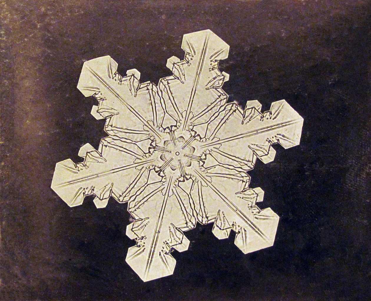 Estudo de um Floco de Neve de Wilson A. Bentley