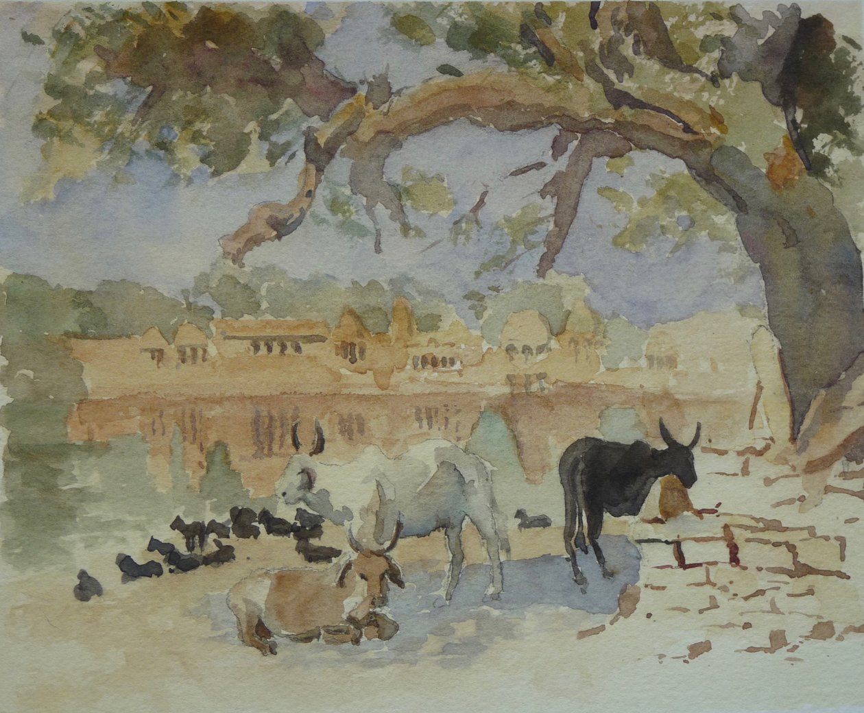 435A Jaisalmer - Gadi Sagar (esboço) de Wilson Clive
