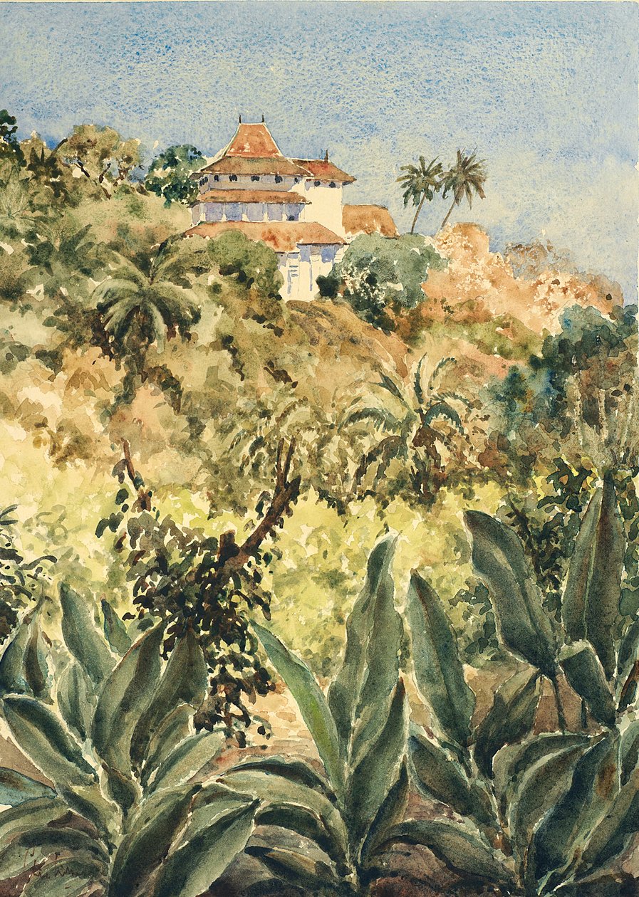 723 Lankatilaka do jardim de pimenta de Wilson Clive