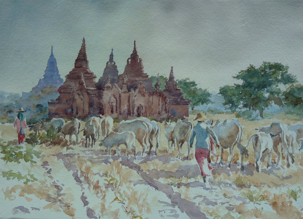 928 Bagan, pastoreio doméstico de Wilson Clive