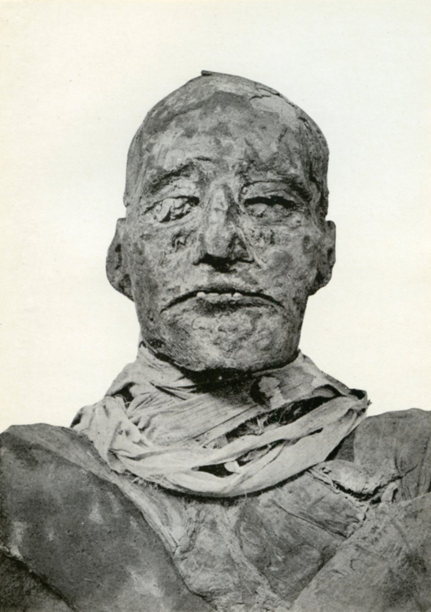 Cabeça da múmia de Ramsés III, antigo faraó egípcio da 20a dinastia, c1156 aC 1926 de Winifred Mabel Brunton