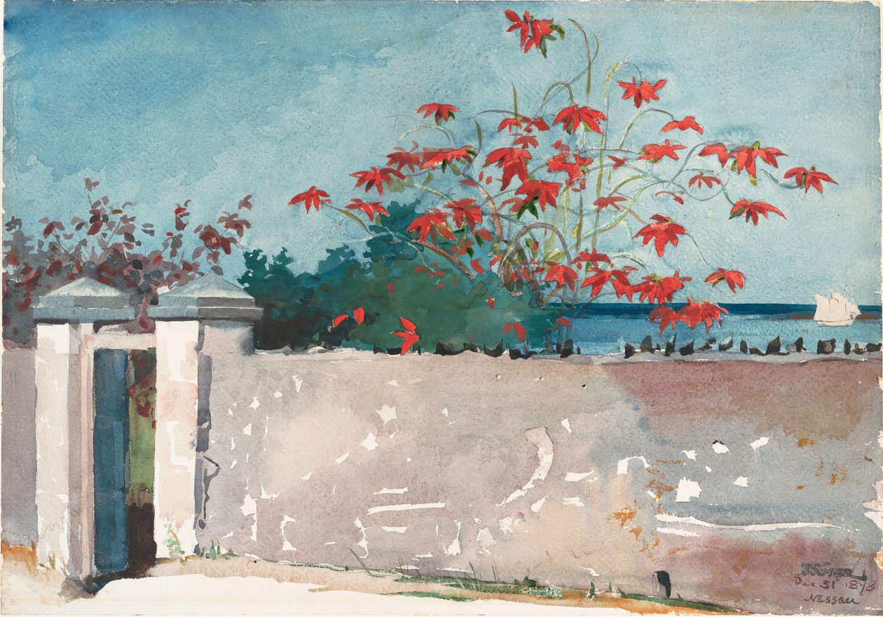 Uma parede, Nassau de Winslow Homer