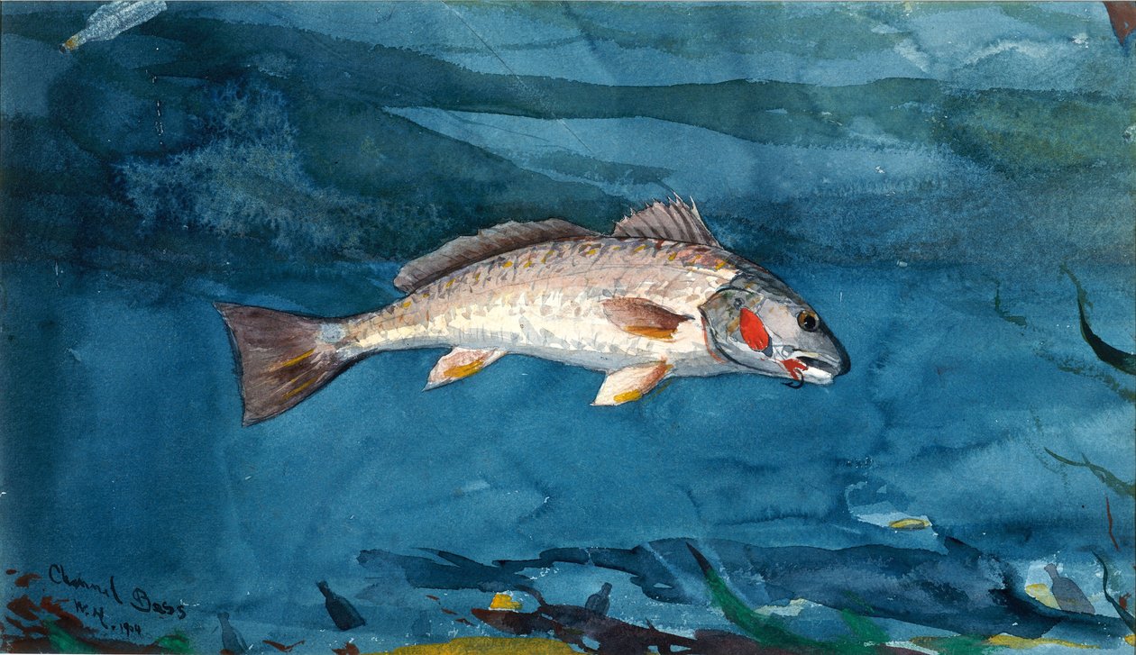 Bass de canal de Winslow Homer