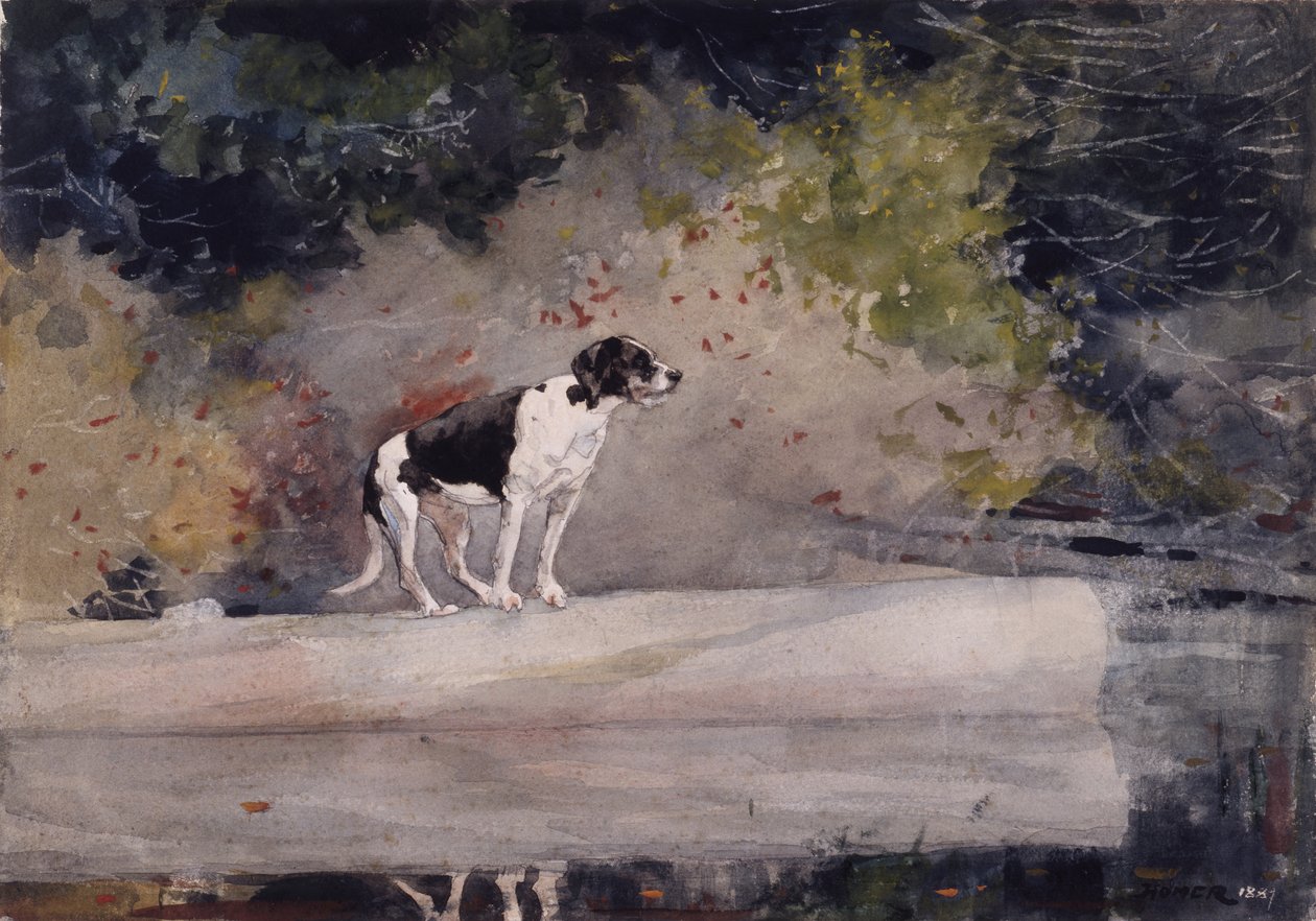 Cão em um log, 1889 de Winslow Homer