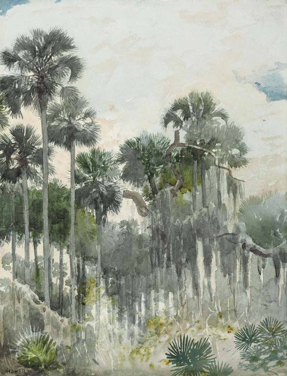 Selva da Flórida de Winslow Homer