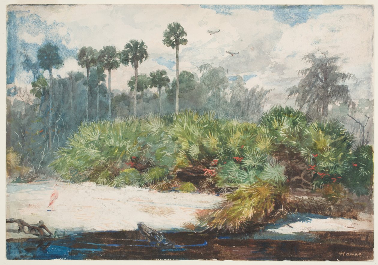 Em uma selva da Flórida (wc over graphite on paper) de Winslow Homer