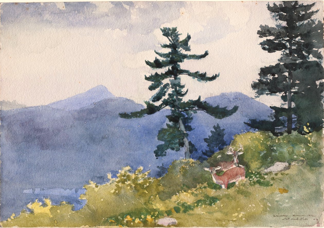 North Woods Club, Adirondacks de Winslow Homer