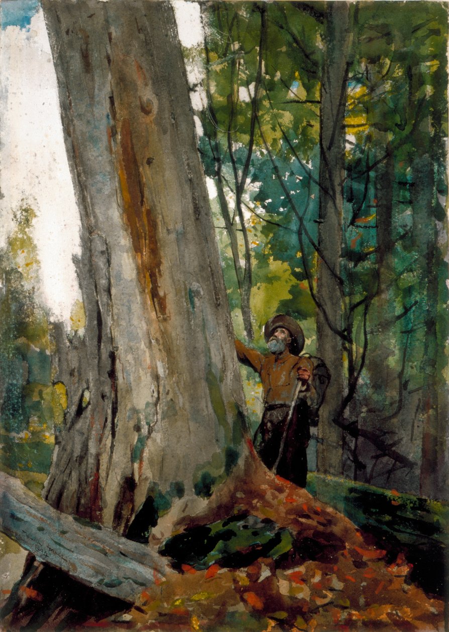 Velhos amigos, 1894 (wc sobre lápis sobre papel) de Winslow Homer