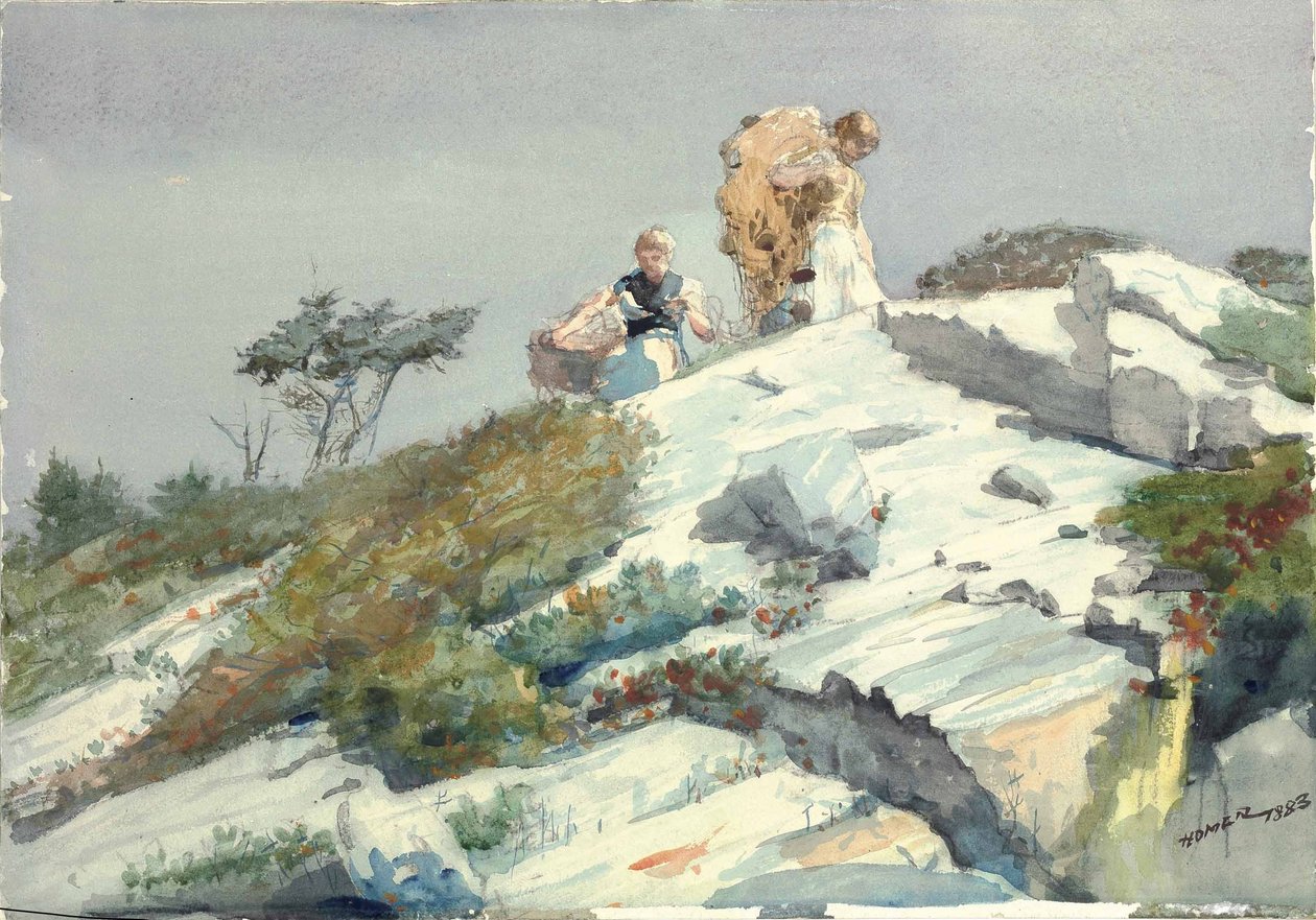 Trabalho duro de Winslow Homer
