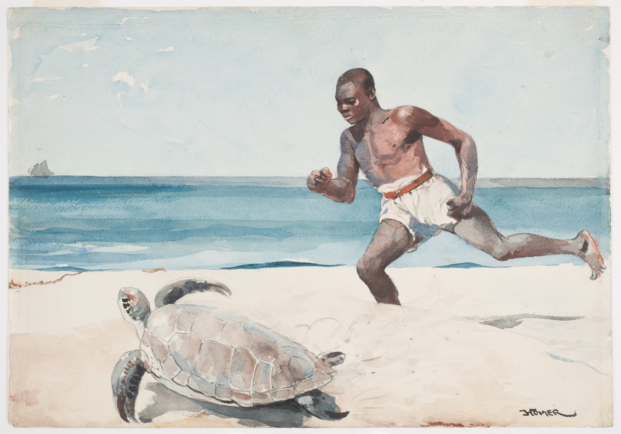 Rum Cay (wc sobre grafite no papel) de Winslow Homer
