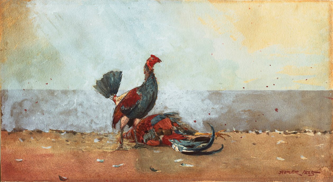 A luta do galo de Winslow Homer