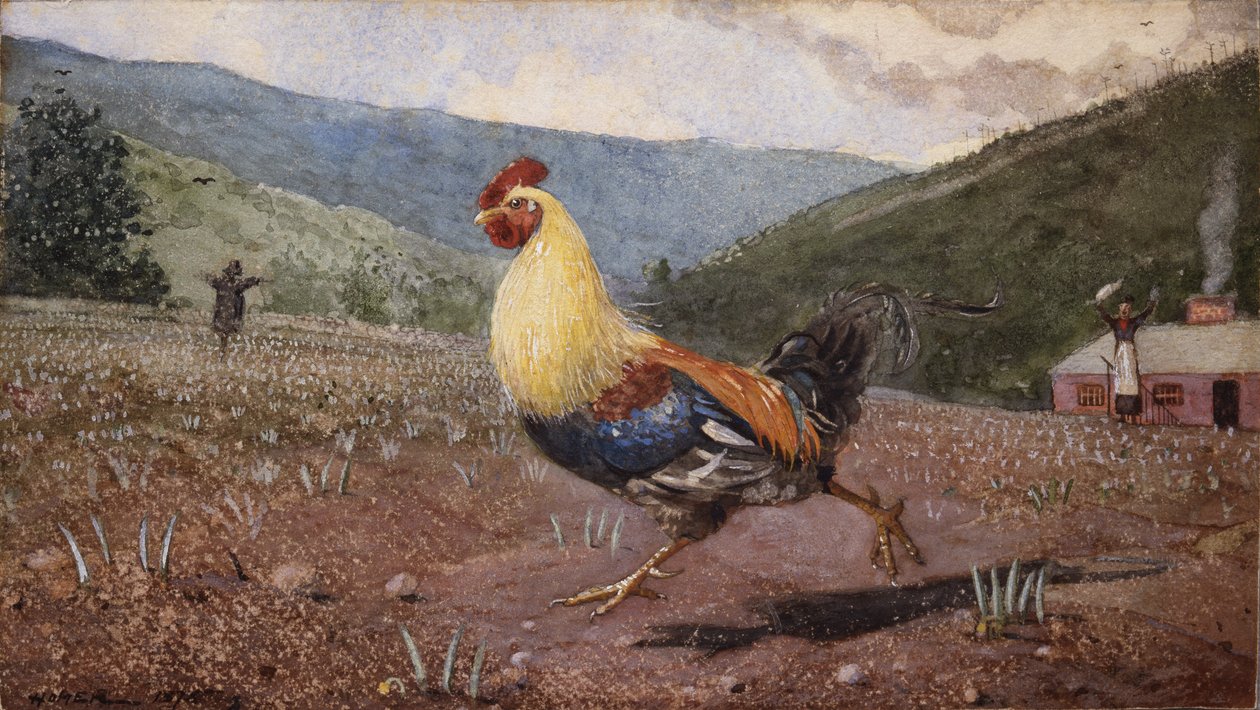 O Galo, 1876 de Winslow Homer