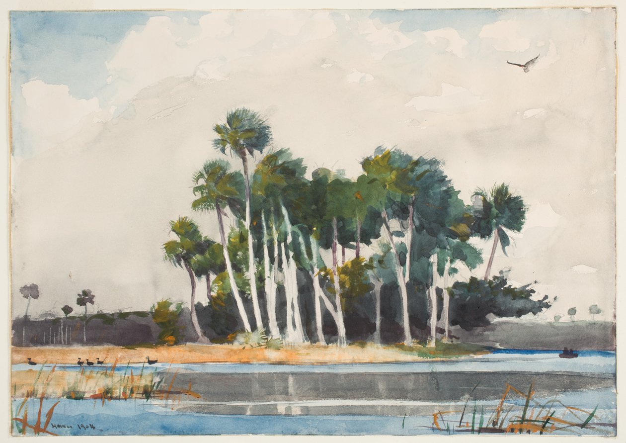 O Búzio da Turquia (wc sobre grafite sobre papel) de Winslow Homer