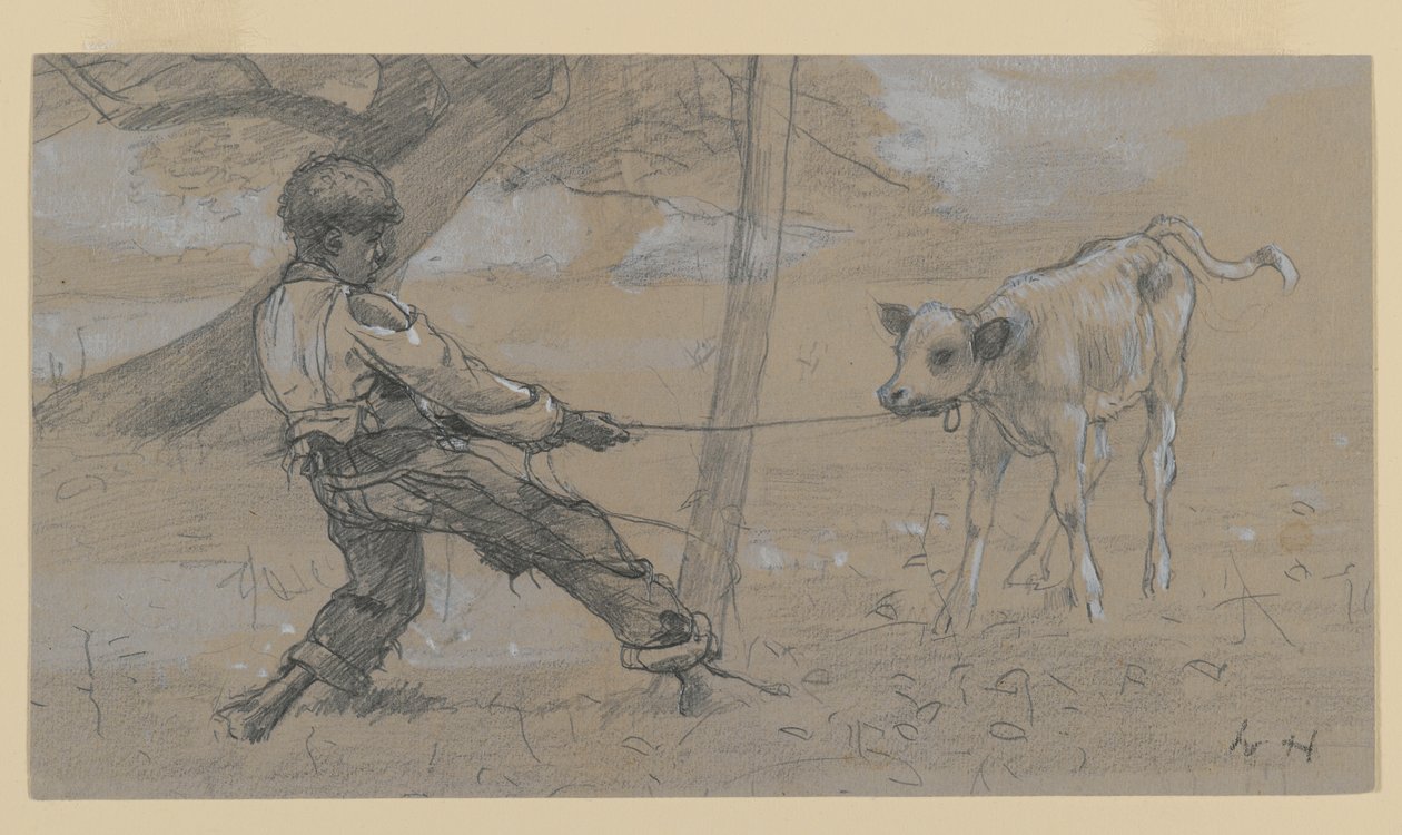 The Unruly Calf (grafite e branco chinês em papel de capa) de Winslow Homer