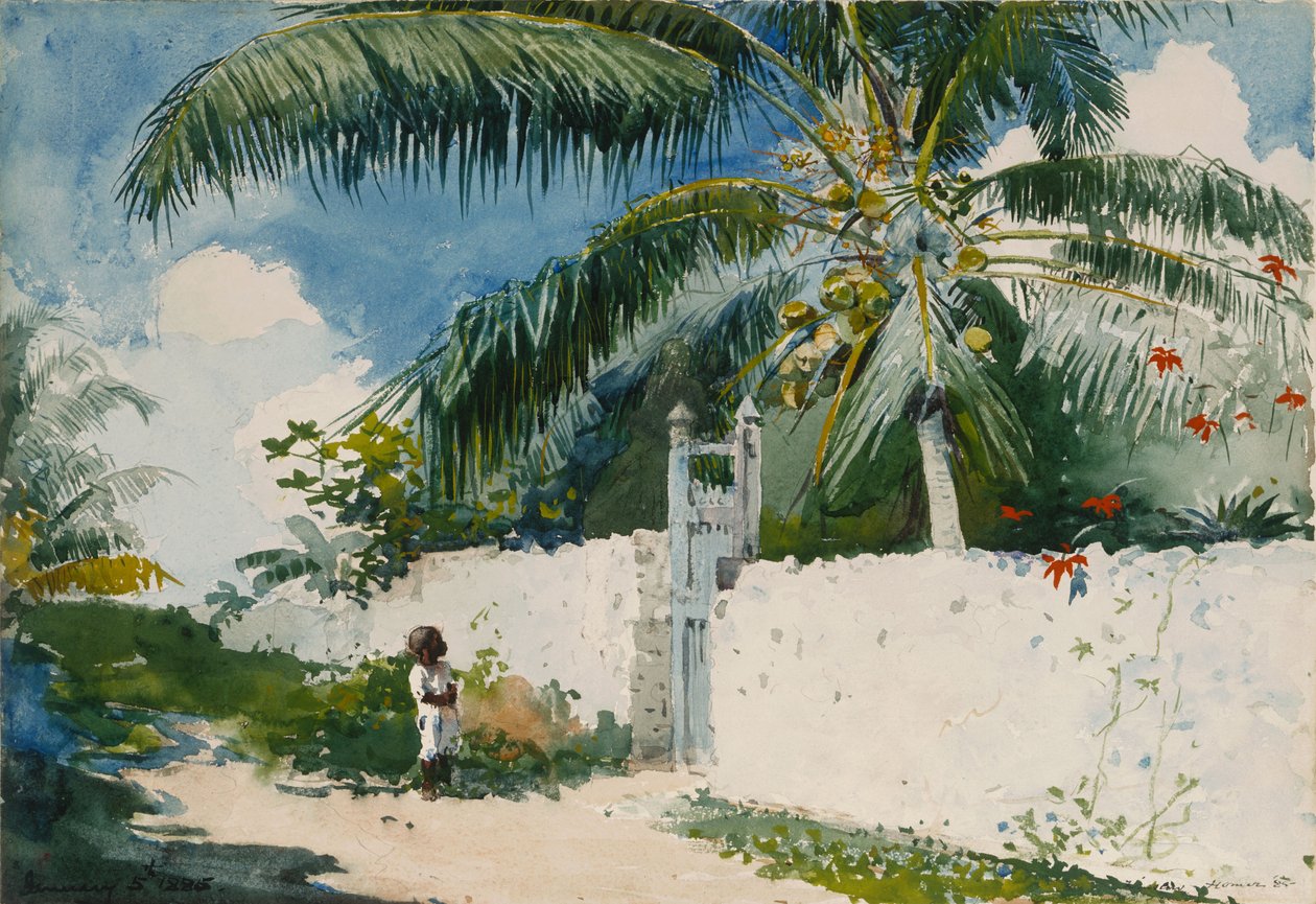 Um jardim em Nassau de Winslow Homer