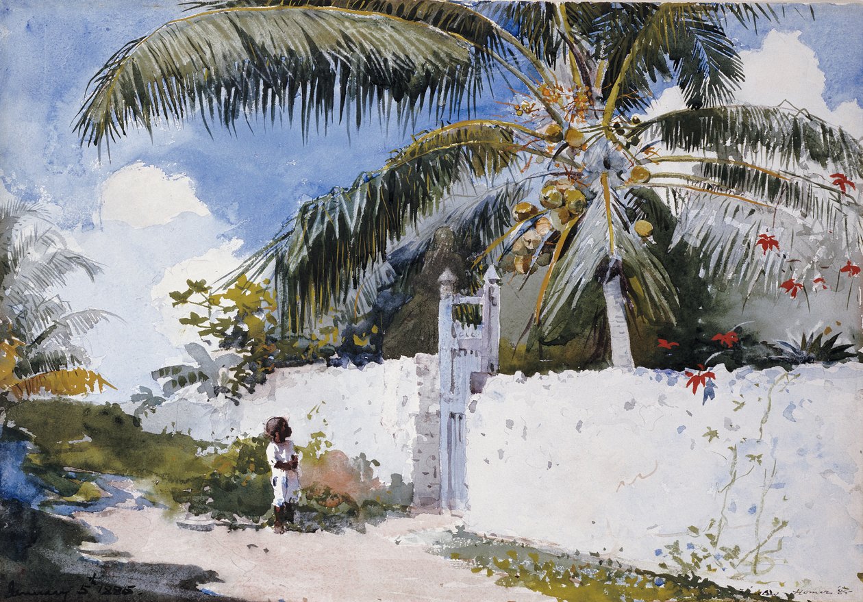 Um jardim em Nassau, 1885 de Winslow Homer