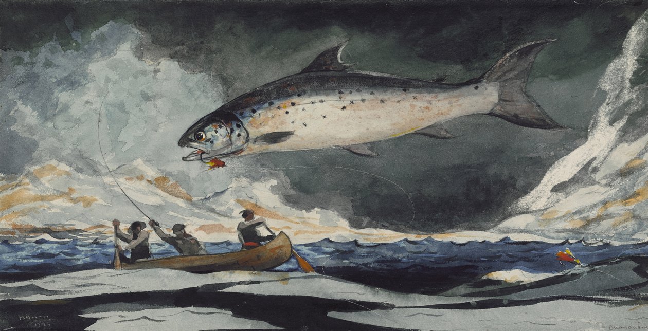 Uma boa piscina, rio Saguenay, 1895 de Winslow Homer