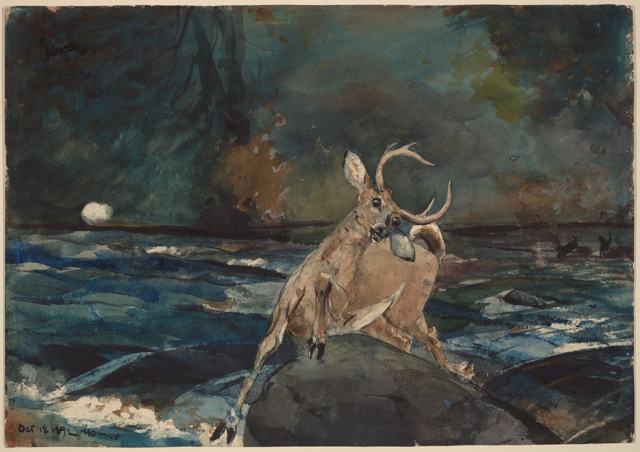 Um bom tiro, Adirondacks de Winslow Homer