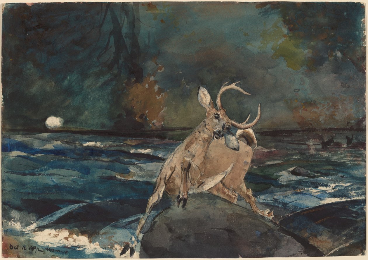Um Bom Tiro, Adirondacks, 1892. de Winslow Homer
