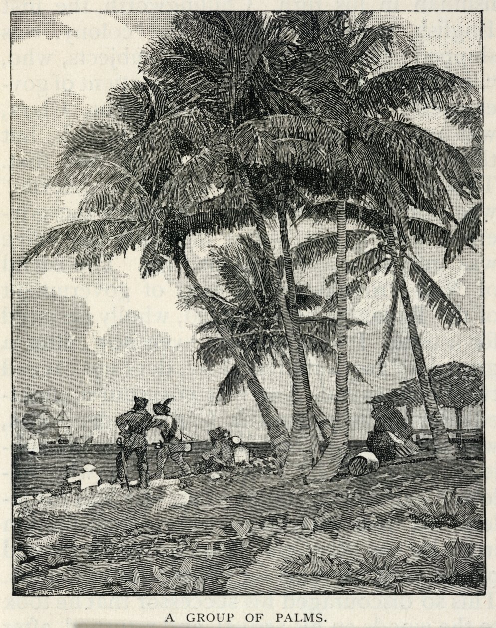Um grupo de palmeiras, de The Century Magazine, fevereiro de 1887 de Winslow Homer