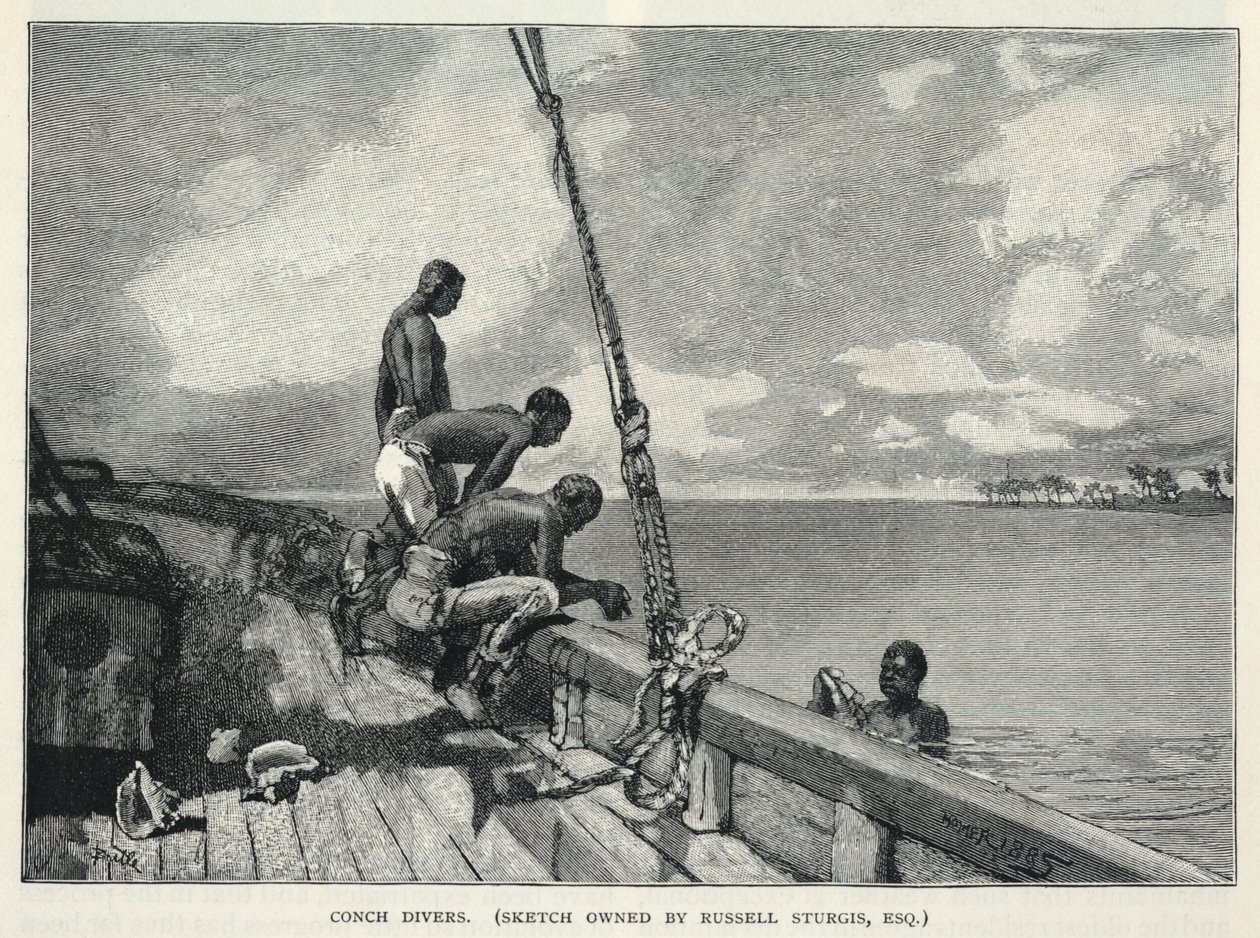 Um furacão, cultivo de cânhamo, na ilha do Abaco, um vendedor de flores, mergulhadores de conchas, da The Century Magazine, fevereiro de 1887 de Winslow Homer