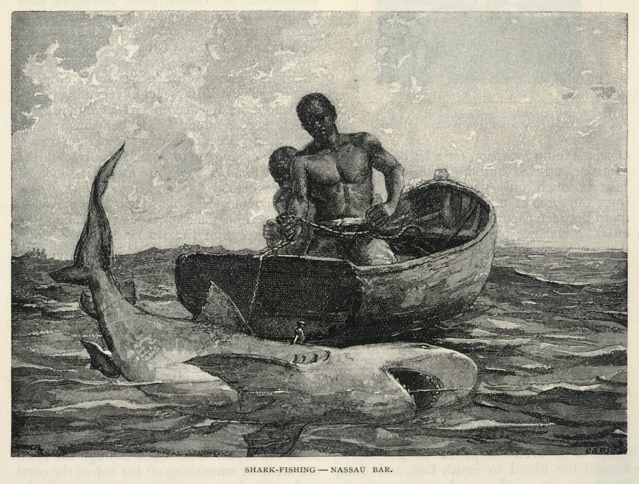 Um vendedor ambulante, um portão de Nassau, pesca de tubarões - Bar de Nassau, da The Century Magazine, fevereiro de 1887 de Winslow Homer