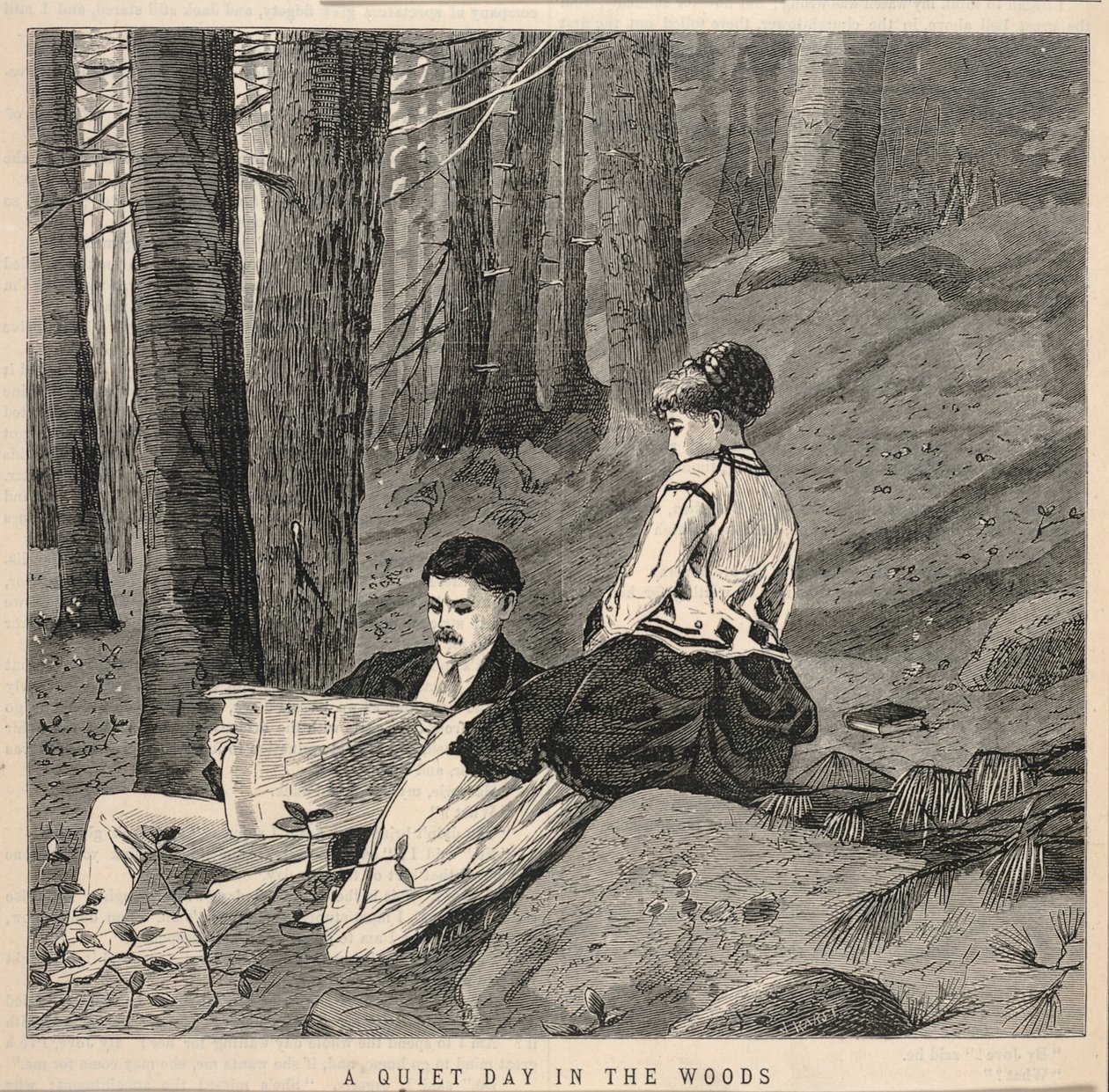 A Quiet Day in the Woods, do Appletons