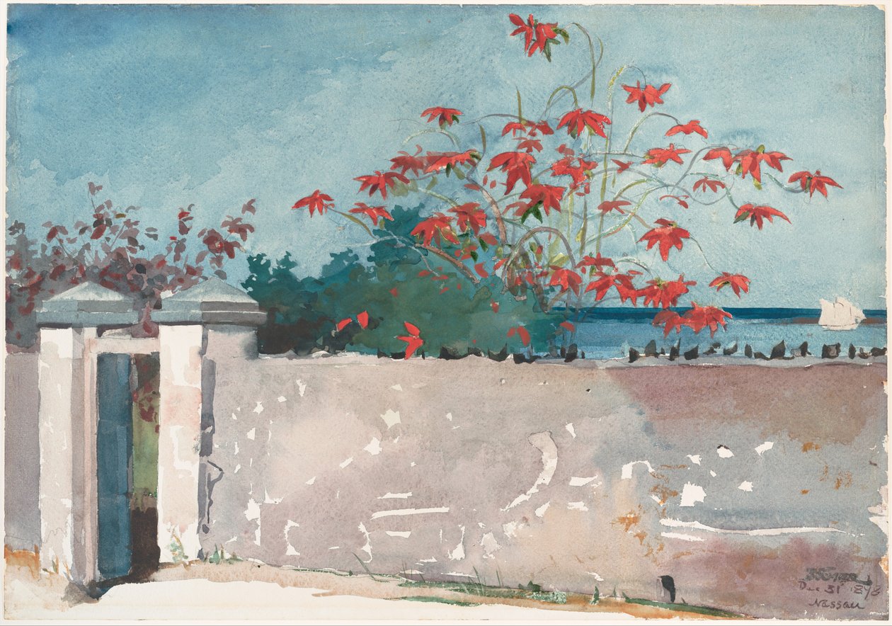 A Wall, Nassau de Winslow Homer