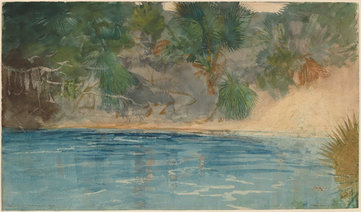 Blue Spring, Flórida de Winslow Homer