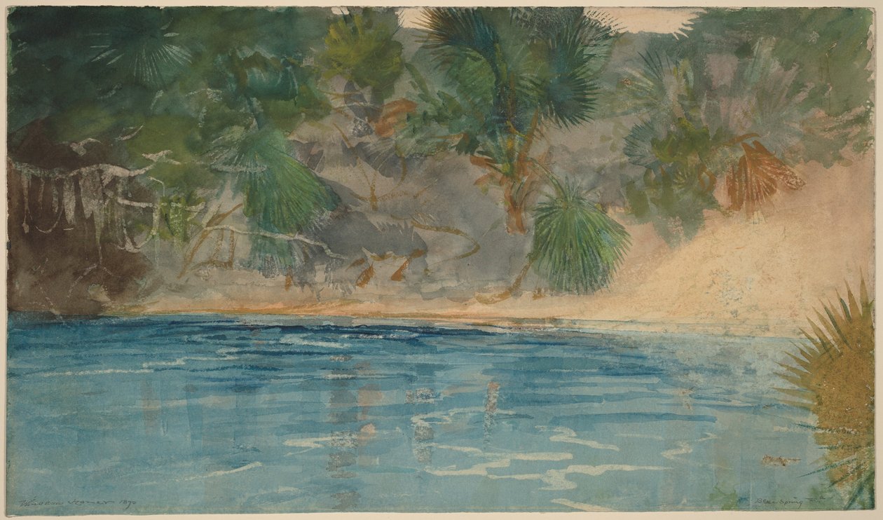 Blue Spring, Flórida de Winslow Homer