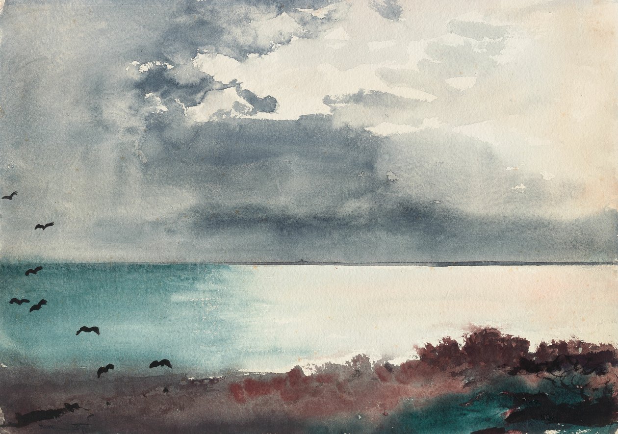 Tempestade, Costa do Maine de Winslow Homer
