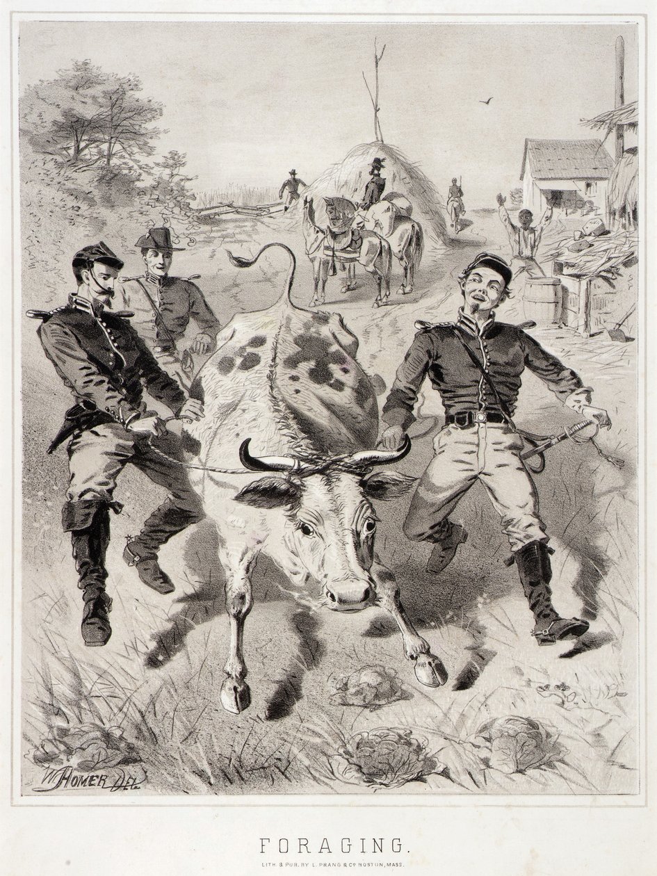 Esboços de campanha: Forrageamento de Winslow Homer